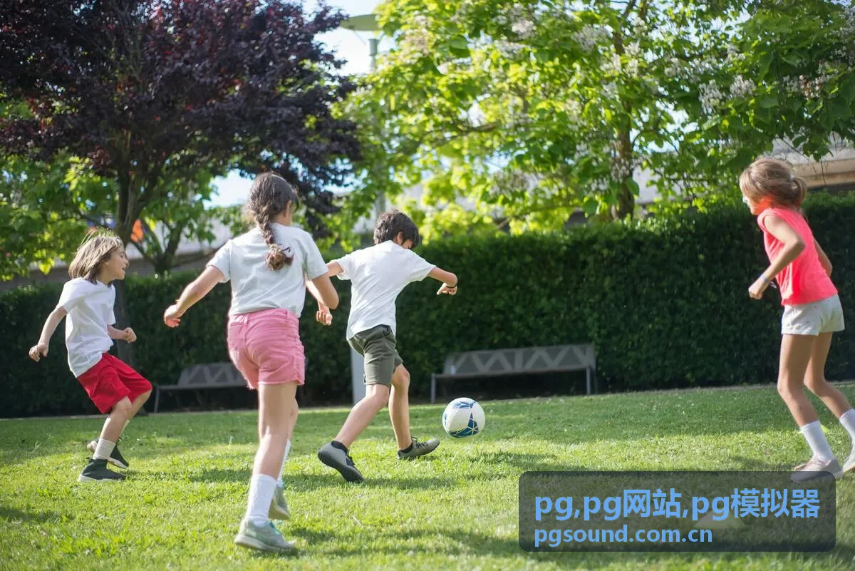 PG模拟器入门说明与PG网站专题封面